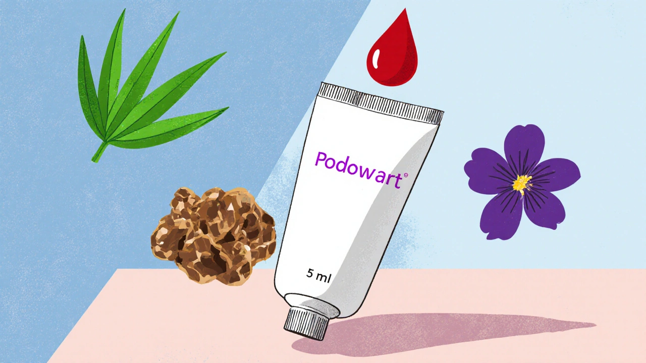 Podowart vs. Top Alternatives: Detailed Comparison Guide