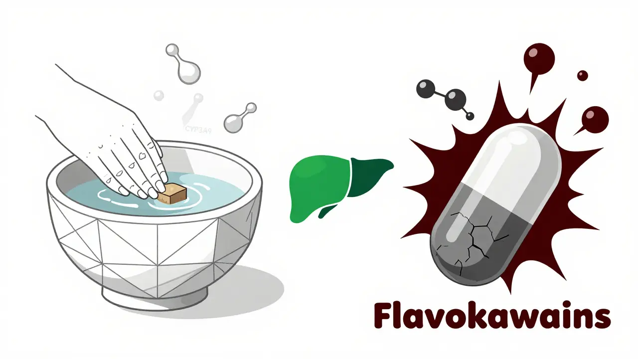 Side-by-side geometric comparison of traditional water-based kava versus toxic solvent extracts affecting the liver.